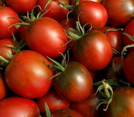 de berao braun tomato seeds heirloom tims tomatoes