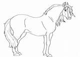 Paarden Kleurplaten Kleurplaat Paard Animaatjes Shire Equine Coloriages Manege sketch template