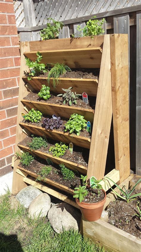 How To Plant Herbs In Planter Box
