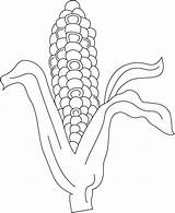 Corn Coloring Indian Drawing Sheet Printable Pages Getdrawings Getcolorings Color sketch template