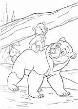 Bear Coloring Brother Pages Kids Little Jungle Book Bears Animal Disney Fun Info Kleurplaat Cartoon Princess Colouring Kenai Choose Board sketch template