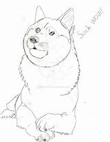 Doge Drawing Getdrawings sketch template