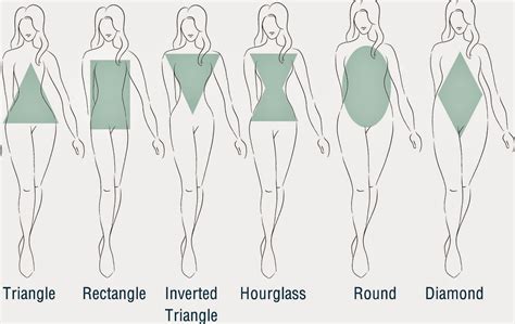 female body shapes  womenplaza fashion