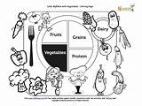 Myplate Nutrition Vegetable Group Foods Carbs Nutrients Dairy sketch template
