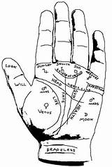 Hand Palmistry Psychic Palm Readings Read Reading Visit Rekha Agrees Ll Version They If Add sketch template