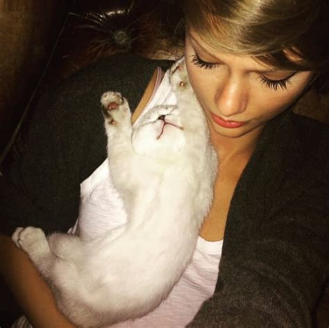 taylor swift is in trouble again this time it s over her cats