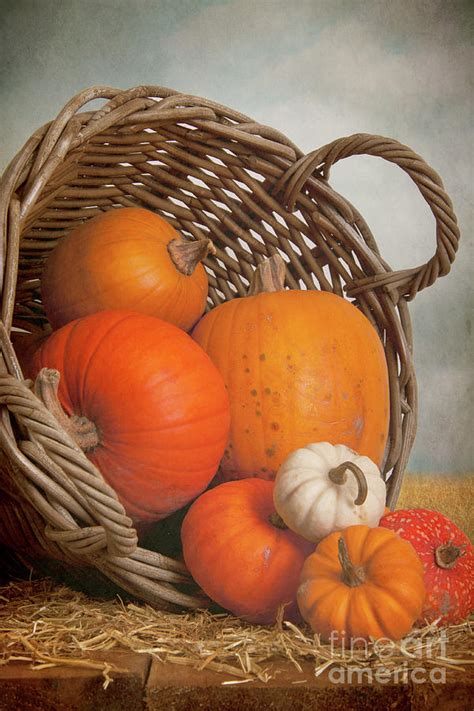 wicker basket full  pumpkins photograph  ethiriel photography