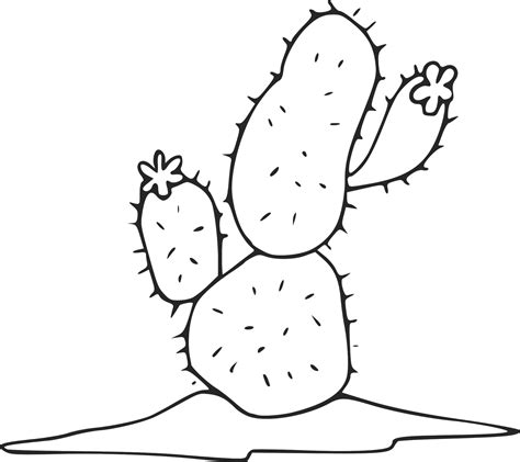 cactus coloring pages  printables