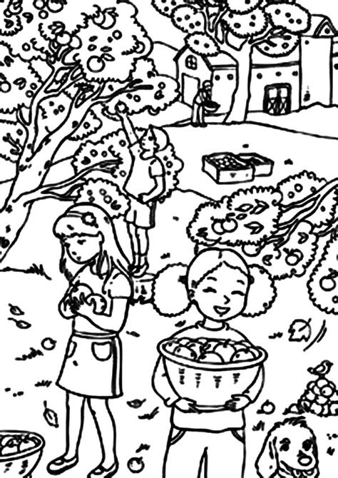 backyard coloring pages  getdrawings