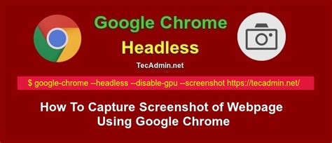 capture screenshot  webpage  google chrome tecadmin