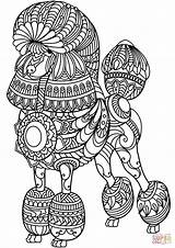 Coloring Poodle Pages Zentangle sketch template