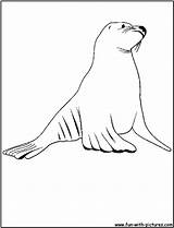 Fun Coloring Pages Sea Lion sketch template