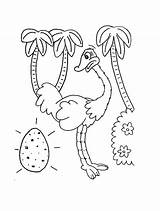 Ostrich Egg Coloring Colorluna sketch template