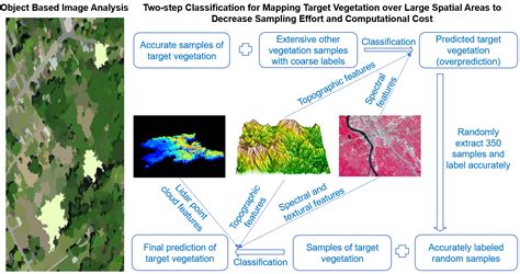 Remote Sensing Free Full Text Mapping Vegetation At Species Level