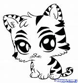 Coloring Pages Clemson Getdrawings Paw Print Tiger sketch template