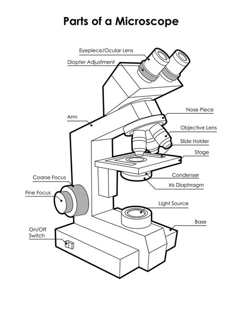 microscope diagram labeled unlabeled  blank parts   microscope tims printables