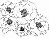 Coloring Flower Multiple Wecoloringpage sketch template