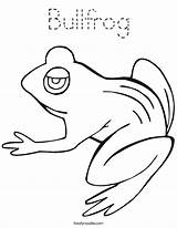 Coloring Bullfrog Tadpole Frog Frogs Pages Printable Noodle Hibernate Template Color Drawings Twistynoodle Outline Built California Usa Getcolorings Change Twisty sketch template