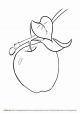 Apple Coloring Pages Printable sketch template