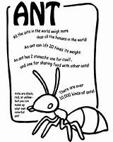 Ant Cutter Ants Crayola Preschool Insects Coloringme Popular Basecampjonkoping sketch template