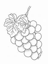 Grapes Aplikacje Haft Wzory Colouring Obrazy Raisin Digi Stemple Stemplowanie Plakat Haftów Frutas sketch template