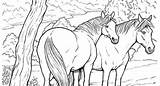 Coloring Herd Horse Pages Wild Designlooter 393px 15kb Adult Horses sketch template