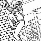 Coloring Spiderman Pages Spider Man sketch template