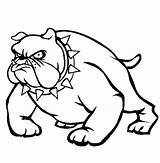 Coloring Pages Bulldog Pitbull Georgia Bulldogs English Bull Puppy Necklace Vicious Drawing Terrier American Head Spikey Wearing Color Puppies Getdrawings sketch template