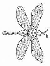 Coloring Pages Dragonfly Zentangle Adults Adult Printable Bright Teens Colors Favorite Color Choose sketch template