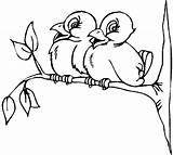 Vogel Kleurplaten Uccelli Ast Vogelpaar Mewarnai Uccellini Ramo Malvorlage Burung Oiseau Animaatjes Ausmalbild Ausmalen Matita sketch template