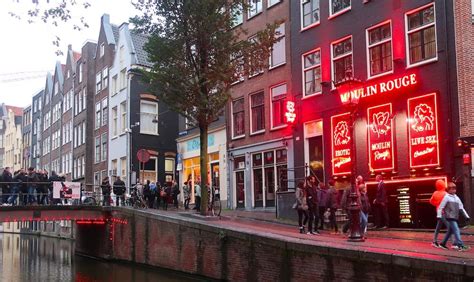 30x amsterdam fun facts did you know this about the netherlands