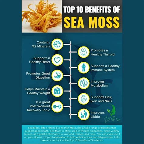 irish sea moss gel wellness  mental health south africa