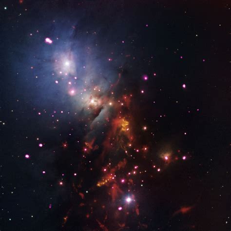 image  star cluster ngc  stellar sparklers
