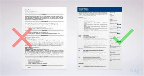 chief executive officer ceo resume template examples