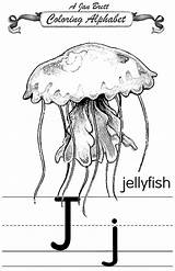 Coloring Jellyfish Alphabet Traditional Janbrett Pages Printable Click Subscription Downloads sketch template