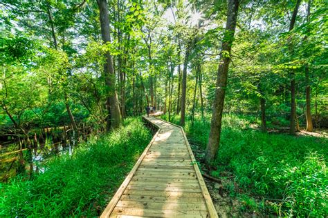 hiking in houston 15 best trails in near houston