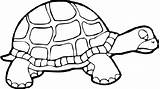 Coloriage Imprimer Tortue Tortues Prek Clipartmag Bestappsforkids Children Migrate Coloringbay Adults sketch template