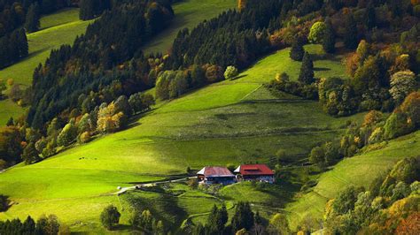germany black forest fields forests wallpaper