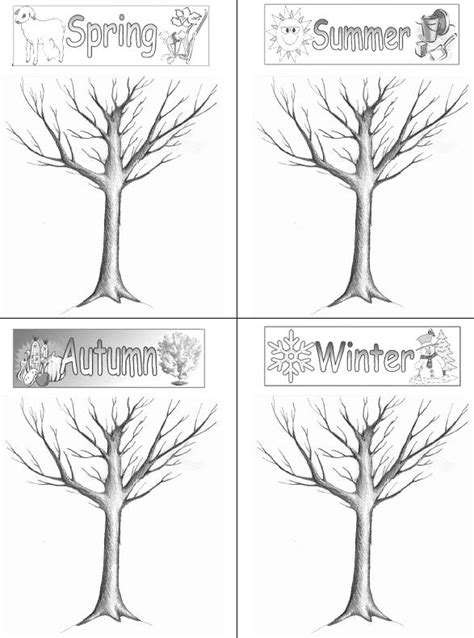 images   grade tree worksheet connect  dots