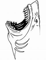 Sharks Kids Jaws Printable Coloringtop Little sketch template