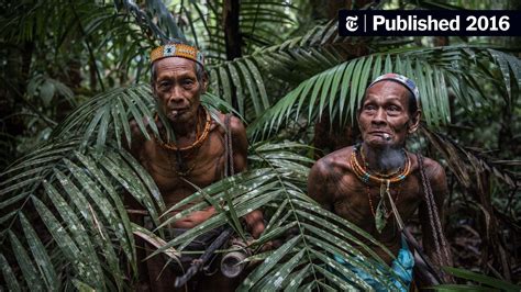 modern world tugs at an indonesian tribe clinging to its ancient ways