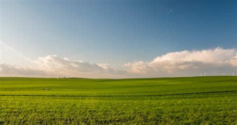 grass field     pexels stock