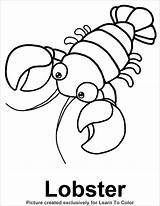 Lobster Coloring Pages Color Drawing Kids Red Footprint Colouring Outline Crayfish Animals Book Line Sheets Template Sea Printable Animal Coloriage sketch template