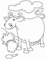 Buffalo Coloring Pages Bills Confused Kids Cape Getcolorings Getdrawings Logo sketch template