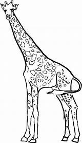 Giraffe Coloring Pages Kids Giraffes Printable Outline Color Drawing Realistic Colouring Clipart Print Animal Girraffe Clipartbest Getdrawings Printables Getcolorings Designs sketch template