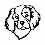Charles Cavalier King Spaniel Dog Coloring Pages Cocker Drawing Car Outline Line Decal Stickers Vinyl Head 7cm Decorative Pet Window sketch template