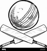 Cricket Bat Ball Drawing Sports Equipment Pages Doodle Vector Sketch Coloring Style Including Outline Stock Cartoon Sport Format Illustration Club sketch template