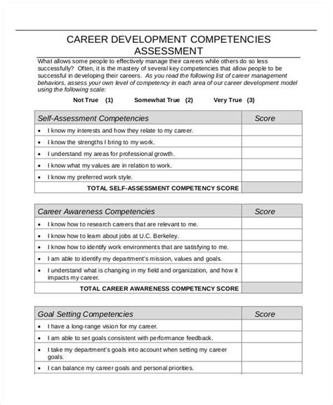 career assessment  examples format  examples