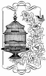 Cage Bird Vintage Pages Coloring Birds Birdcage Stamps Glass Adult Books Beautiful Available Now Colouring Sheets Clip Book Printables Blanco sketch template