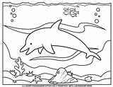 Whale Coloring Blue Pages Dolphin Island Dolphins Getcolorings Print Search sketch template